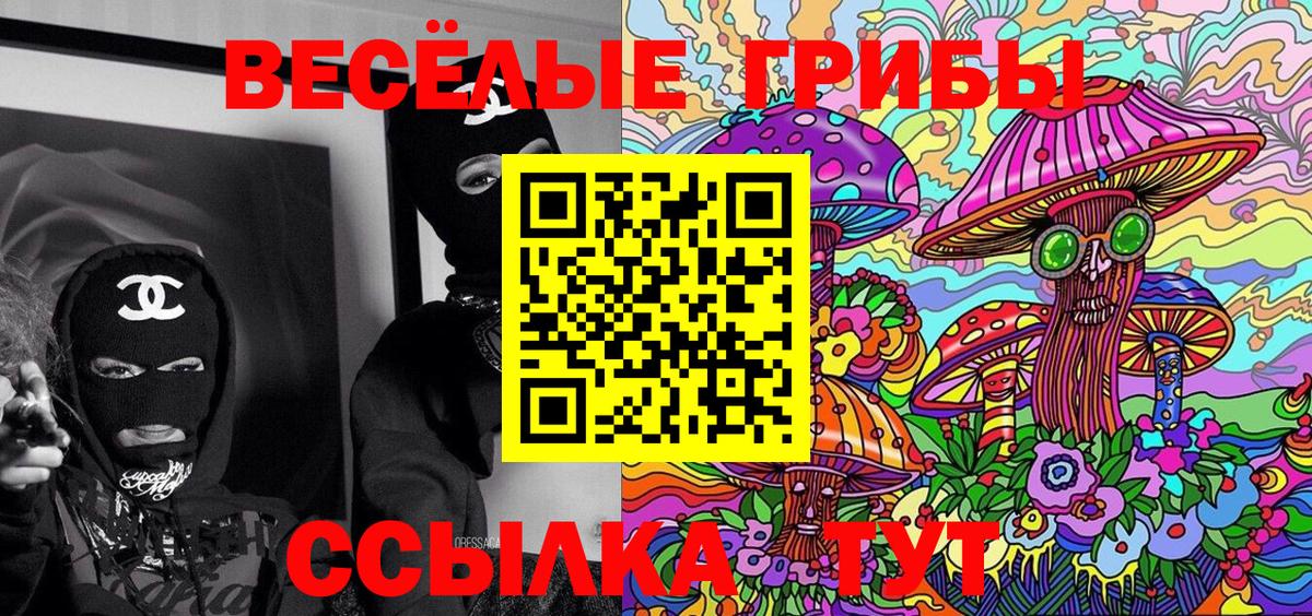 Галлюциногенные грибы Cubensis Донской