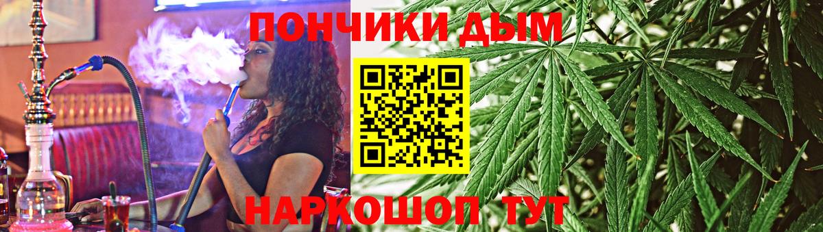 Каннабис индика  Конопля ГИДРОПОН  Вход с VPN  Марихуана семена  Донской 